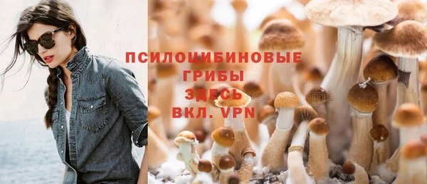 бутират Арсеньев