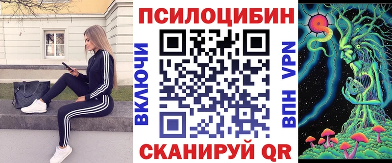 дарнет шоп  Новый Оскол  Псилоцибиновые грибы GOLDEN TEACHER 